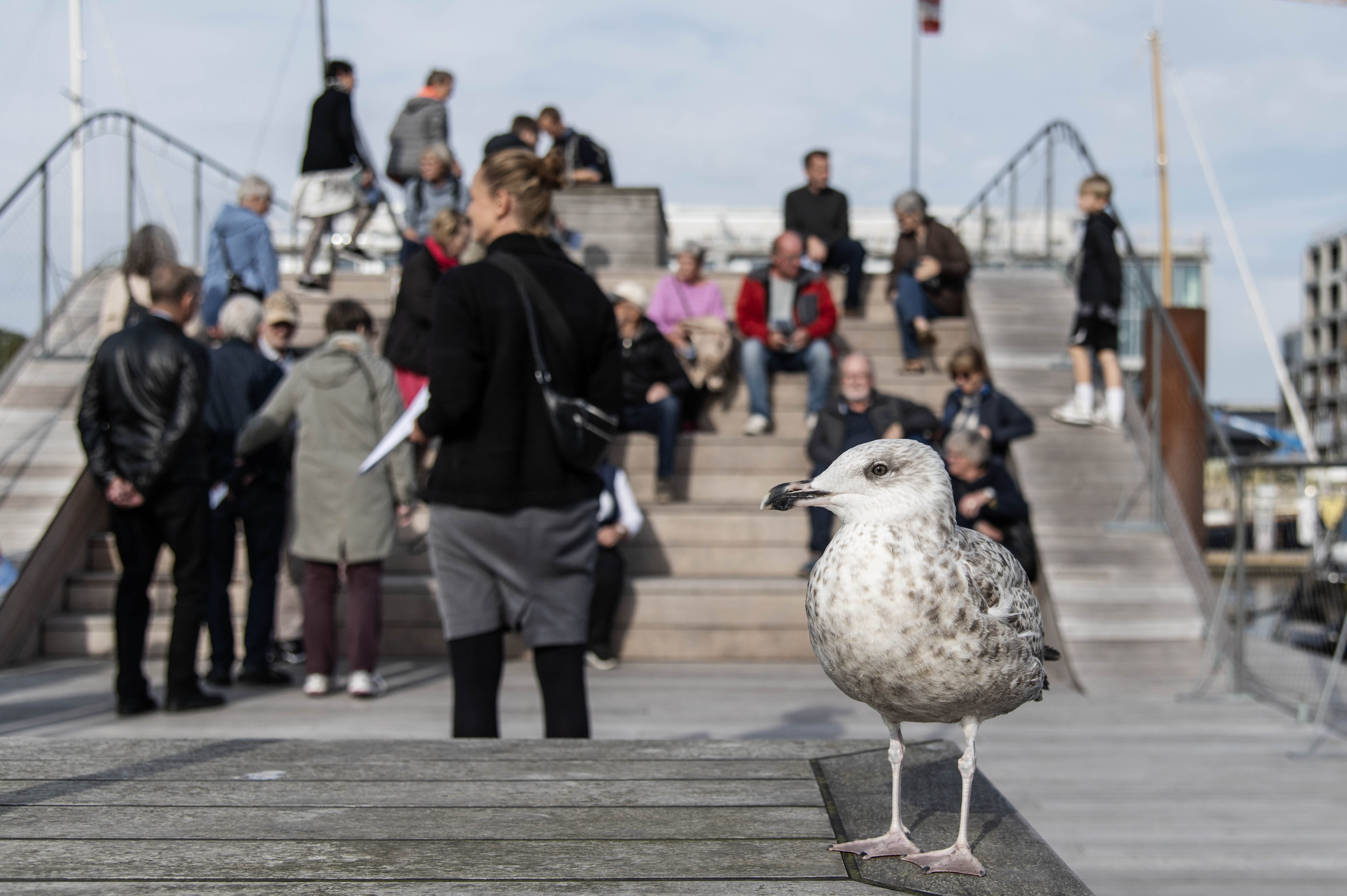 Havnevandring ved bølgen i 2023
